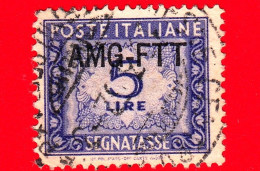 ITALIA - Trieste AMG FTT - Usato - 1949 - Cifra E Decorazioni, Sovrastampa Su Una Riga - Segnatasse -  5 L. - Used