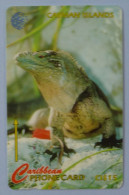 CAYMAN ISLANDS - GPT - Specimen - Famous Little Cayman Iguana - Kaaimaneilanden