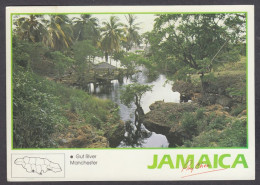 129716/ MANCHESTER, Gut River - Jamaïque