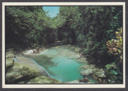 127542/ Drivers River, Natural Swimming Pool At Reach Falls - Jamaica