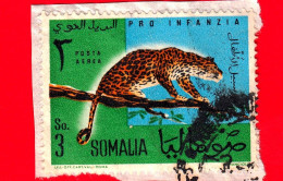 SOMALIA - Usato - 1960 - Anno Internazionale Del Bambino - Pro Infanzia - Leopardo - 3 - Posta Aerea - Somalie (1960-...)