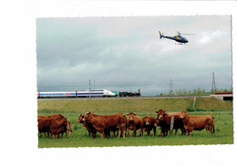 Cpm - 55 - LAMORVILLE - Locomotive Train T G V 4406 - CRAMPTON 80 - Hélicoptère - 2007 - Vaches Au Pré - Helicópteros