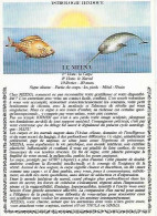 CPM Le Meena Astrologie Hindoue - Astrología