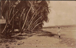 TRINIDAD  COCO NUT PALMAS MAYARO BEACH - Trinidad