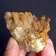 #U12 - Schöne Gruppe Von QUARZ Kristallen Mit Eisenoxiden (Val Bedretto, Schweiz) - Minerals