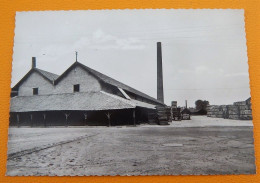 STEENDORP  -  Steenbakkerij - Kruibeke