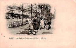 Paris         75      Jardin Des Tuileries. Voiture Aux Chèvres    (voir Scan) - Parchi, Giardini