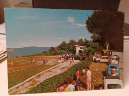 Cartolina  Rifreddo Fa Parte Del Comune Di Pignola, In Provincia Di Potenza,campo Del Tiro A Volo ,tabacchi - Potenza