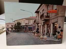 Cartolina Valledoria Provincia Sassari , Via Del Paese,caffè Mokador Insegna ,tabacchi - Sassari