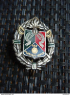 INSIGNE Légion Etrangère - Le 1er Régiment étranger De Cavalerie - Frankreich