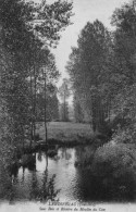 LANDIVISIAU - Sous-Bois Et Rivière Du Moulin Du Can - Landivisiau