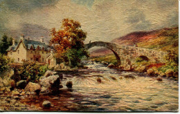 TUCKS OILETTE 7809 - PERTHSHIRE, TUMMEL BRIDGE By WIMBUSH - OIL FASCISM - Wimbush