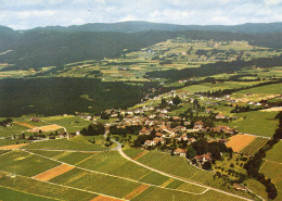 CPM - K - SUISSE - CANTON DE VAUD - BEGNINS - VUE GENERALE - Begnins