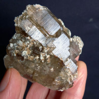 #U22 - Schöne Gruppe Von RAUCHQUARZ Kristallen (Val Bedretto, Schweiz) - Mineralien
