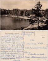 Foto Ansichtskarte Bad Liebenwerda Partie Am Waldbad 1962 - Bad Liebenwerda