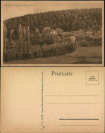 Ansichtskarte Heilbad Heiligenstadt Blick Auf Den Iberg 1926  - Heiligenstadt