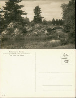Ansichtskarte Dahlem-Berlin Botanischer Garten, Brücke 1928 - Dahlem