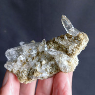 #V43 - Beau QUARTZ Crisaux(Val Bedretto, Suisse) - Mineralien