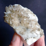 #V46 - Curioso Gruppo CALCITE Cristalli (Val Bedretto, Svizzera) - Minerales