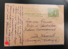 Kingdom SHS 25 Para Postal Stationery Card Pozarevac To Kamnik 12.10.1919 Catalog 2/I - Entiers Postaux