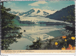 ALASKA  MENDENHALL GLACIER  REFLECTION VIEW  NEAR JUNEAU - Used, Gletscher - Juneau