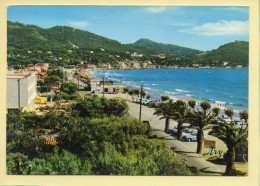 83. SAINT-CYR LES LECQUES – Vue Générale De La Plage (animée) (voir Scan Recto/verso) - Les Lecques