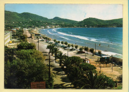 83. SAINT-CYR LES LECQUES – La Plage (voir Scan Recto/verso) - Les Lecques