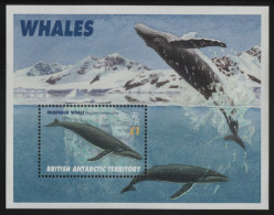 British Antarctic Territory 1996 MNH Sc 248 1pd Humpback Whale - Nuevos