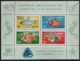 Brazil 1969 MNH Sc 1130 Fish Sheet Of 4 - Ungebraucht