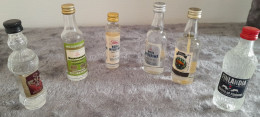 MIGNONNETTES VODKA - Miniflesjes