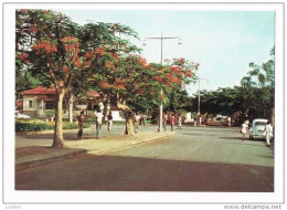 Angola - Portugal Colonial - Dundo - VW Beetle - Car - Voiture - Angola