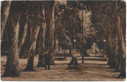 Postcard - Uruguay, Montevideo, Prado, N°577 - Uruguay