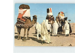 72348540 Hochzeit Kamele Tunisie Mariage Traditionnel Dans Le Desert   - Noces