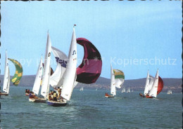 72309995 Segeln Balaton   - Voile