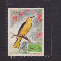 [Carte Maximum / Maximum Card /  Maximumkarte] Germany 2019 | Europa, Birds - Yellowhammer - Altri & Non Classificati