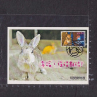 [Carte Maximum / Maximum Card /  Maximumkarte] Hong Kong 2021 | 100th Anniversary Of SPCA (Hong Kong) - Rabbit - Rabbits