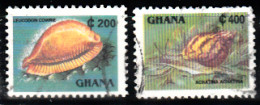 Ghana - Série Courante - Faune - Coquillage - Shells - Leucodon Cowrie - Achatina Achatina - Tp Oblitéré - Ghana (1957-...)