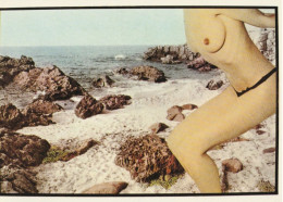 CARTE POSTALE 10CM/15CM ORIGINALE DE DIDIER GAILLARD EDITION NUGERON H 261 : PIN UP SEXY EROTIC SEINS NUS NATURISME - Pin-Ups