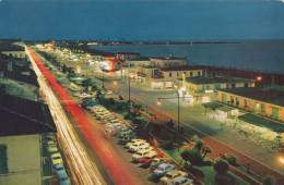 Cartolina Viareggio ( Lucca ) - Viali Lungomare - Notturno - Viareggio