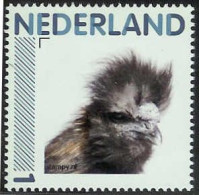 Persoonlijke Postzegel Zijdehoenhaan Silky - Persoonlijke Postzegels