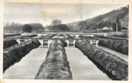 CPA Pisciculture De L'Eure à Acquigny-Bassins D'alevinage-TRES RARE        L2621 - Acquigny