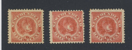 3x Newfoundland Mint Dog Stamps #56 -1/2c MH All Are F/VF Guide Value = $52.00 - 1857-1861