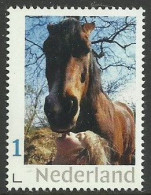 Meisje Met Paard  Persoonlijke Zegel - Persoonlijke Postzegels