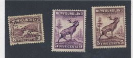 3x Newfoundland Stamps #137 -8c Perf-in #190 -5c VF #191 -5c VF All Mint No Gum - 1857-1861