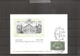 Luxembourg - CECA ( Carte Commémorative De 1958 à Voir) - Covers & Documents