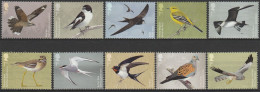 2022 MIGRATORY BIRDS - Non Classificati