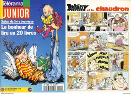 ASTERIX : Magazine TELEJUNIOR 1994 , Asterix Et Le Chaudron - Astérix