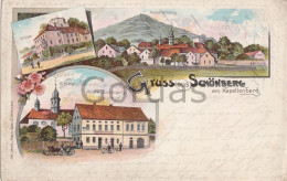 Germany - Bad Brambach Schonberg Am Kapellenberg - Gasthof - Schloss - Litho - Bad Brambach