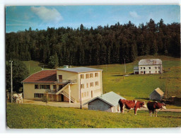 SEPTMONCEL: Centre De Vacances Notre-Dame D'Esperance Tréchaumont-Lamoura - Très Bon état - Septmoncel