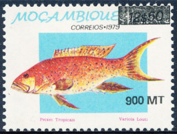 Mozambique - 1995 - 1979 Type - Tropical Fishes - MNH - Mozambique